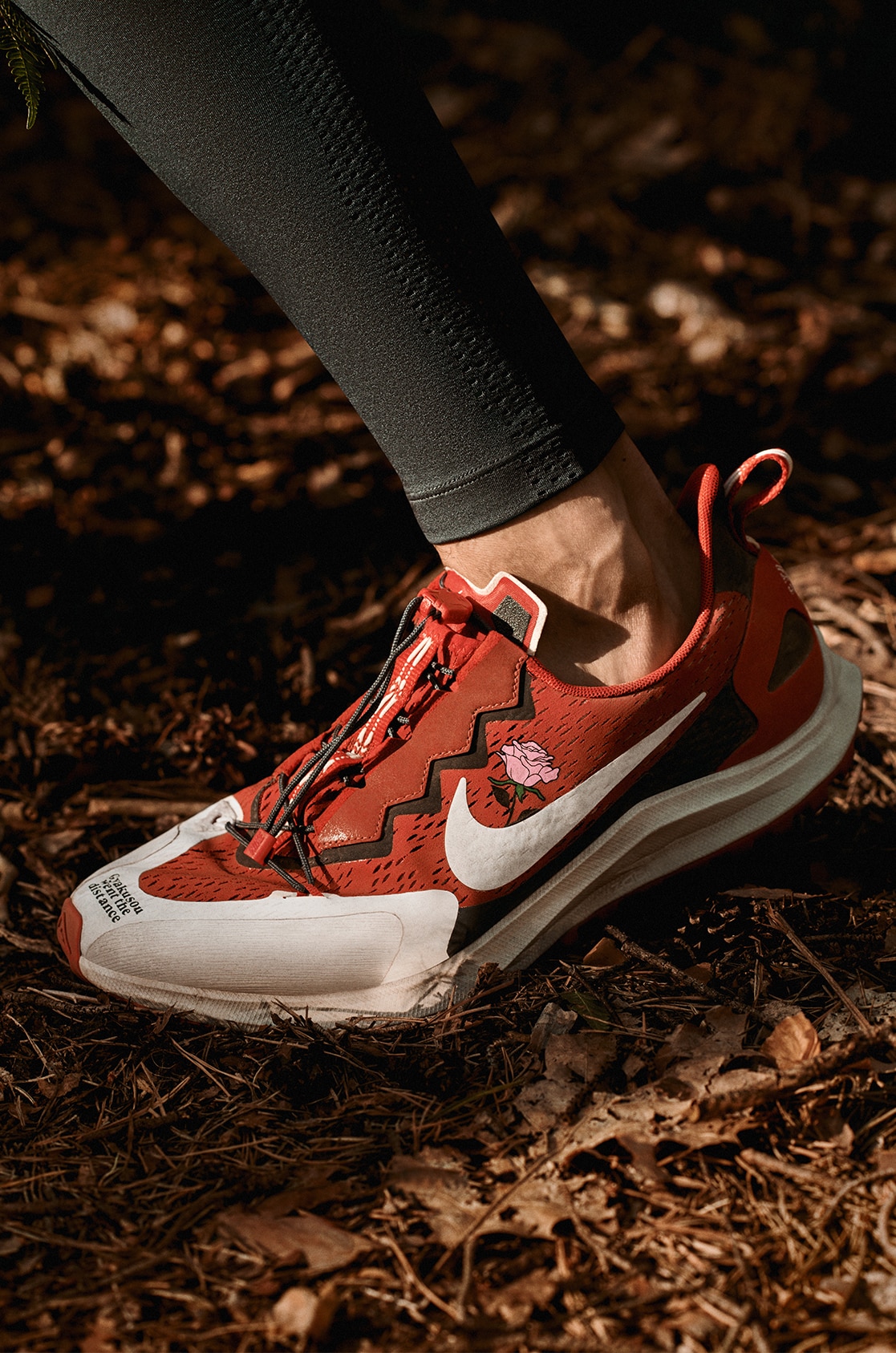 nike-pegasus-trail-1