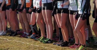 Image de l'article Bien choisir ses pointes de cross : le guide complet