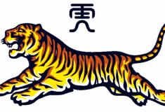 Image de l'article Découvrez les caractéristiques du baume du Tigre !