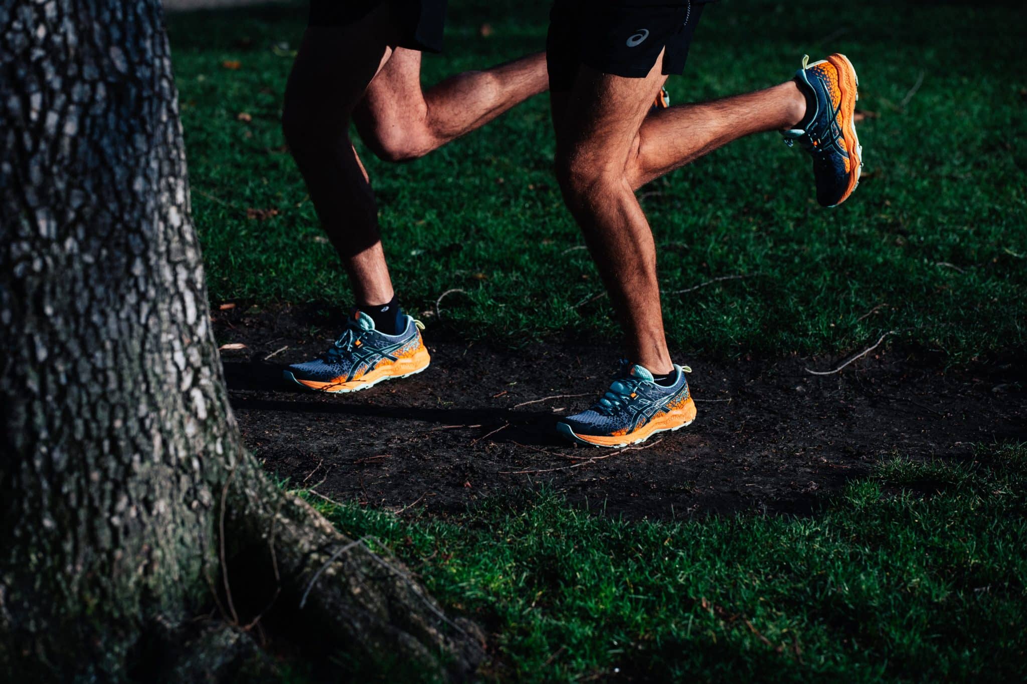 fujitrabuco lyte womens