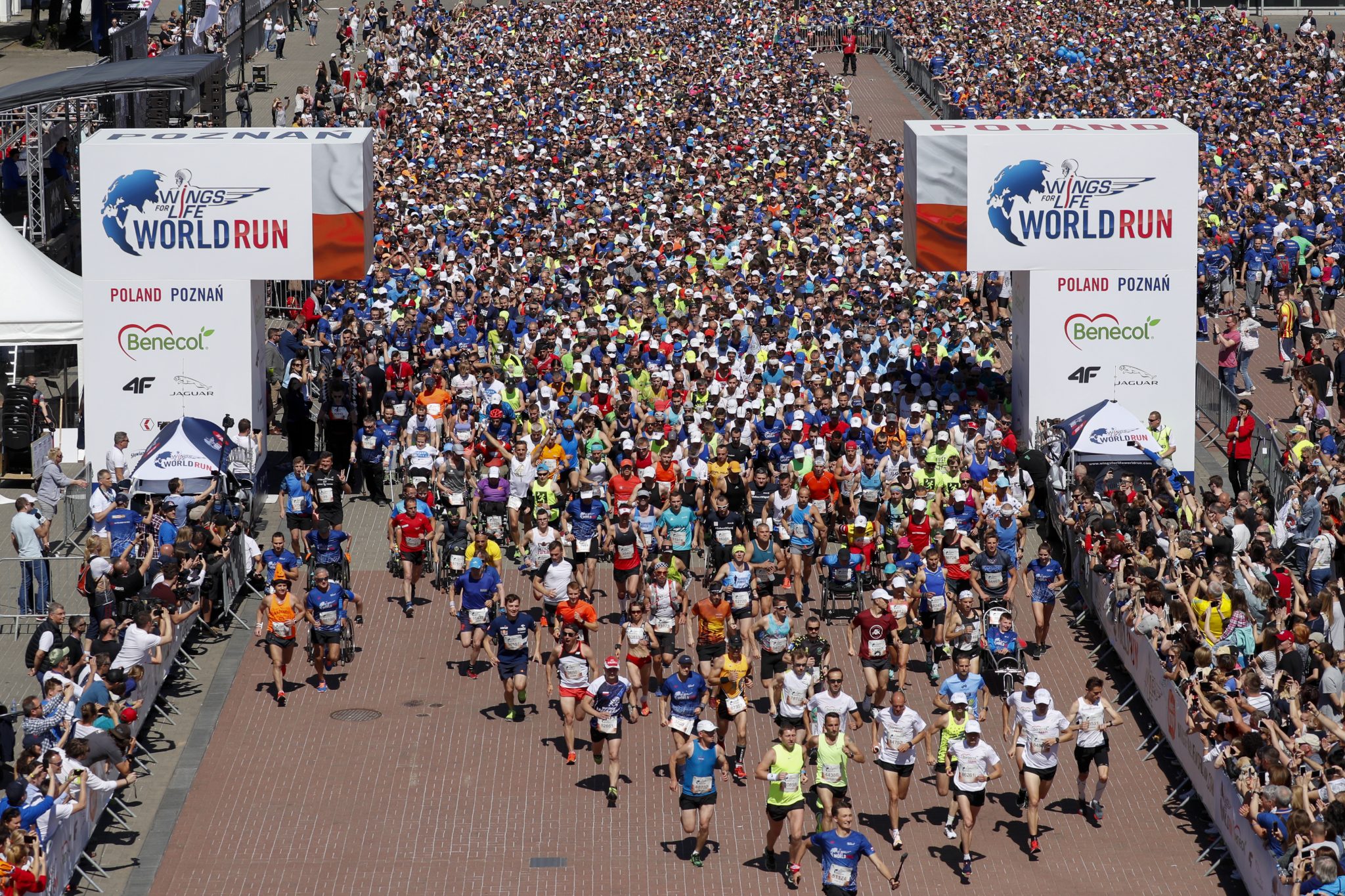 wings_for_life_rouen_run_redbull_runpack_3