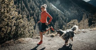 Image de l'article Comment choisir ses lunettes de soleil pour courir ?