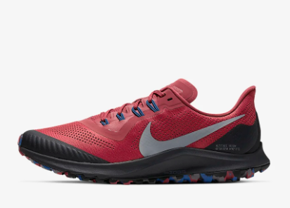 Nike - Pegasus 36 trail - 2