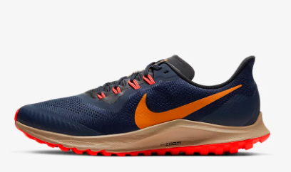 Nike - Pegasus 36 trail - 7