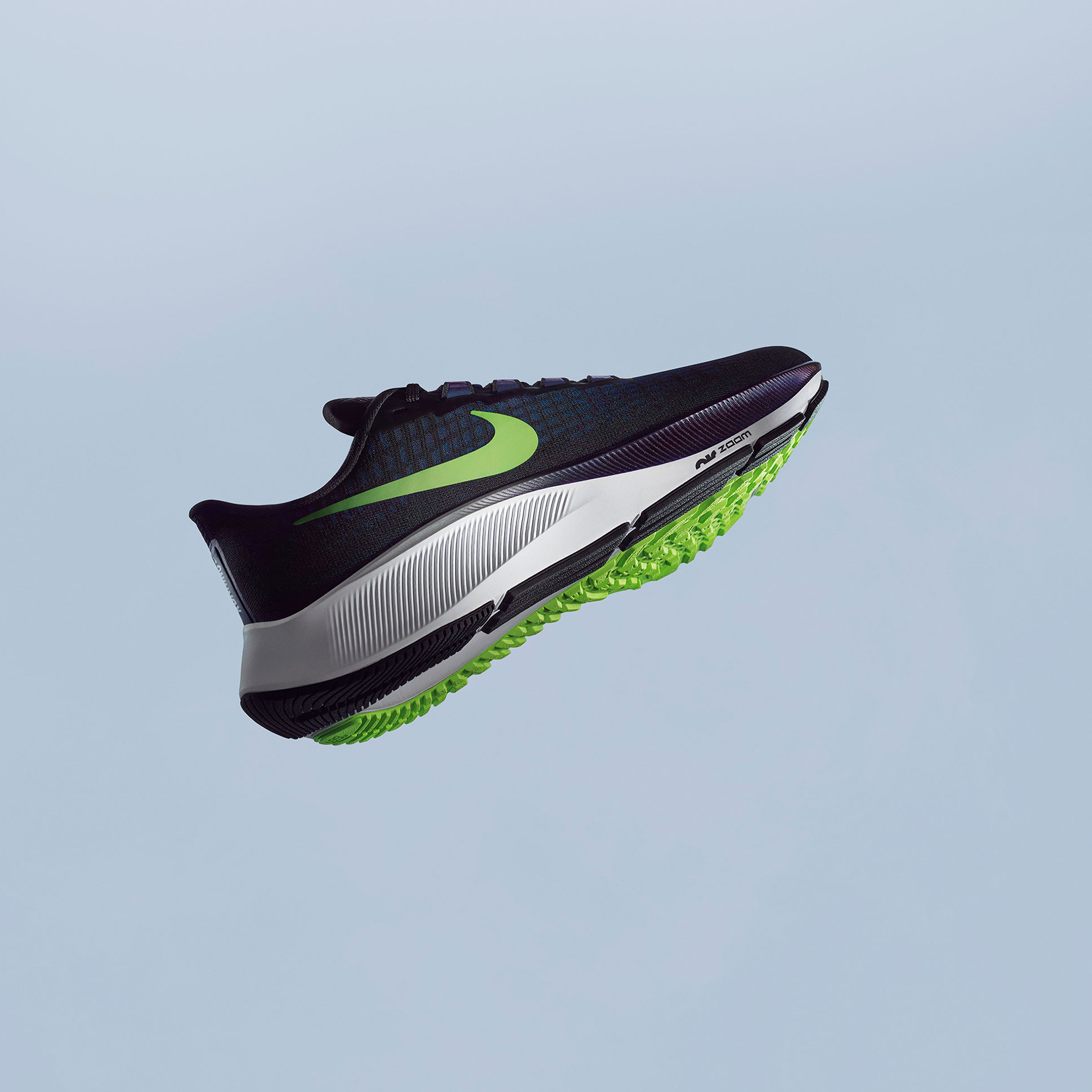 pegasus 37 intersport