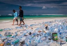 Image de l'article adidas x Parley : 5 ans de partenariat contre la crise du plastique