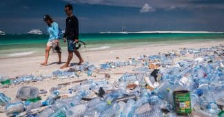 Image de l'article adidas x Parley : 5 ans de partenariat contre la crise du plastique
