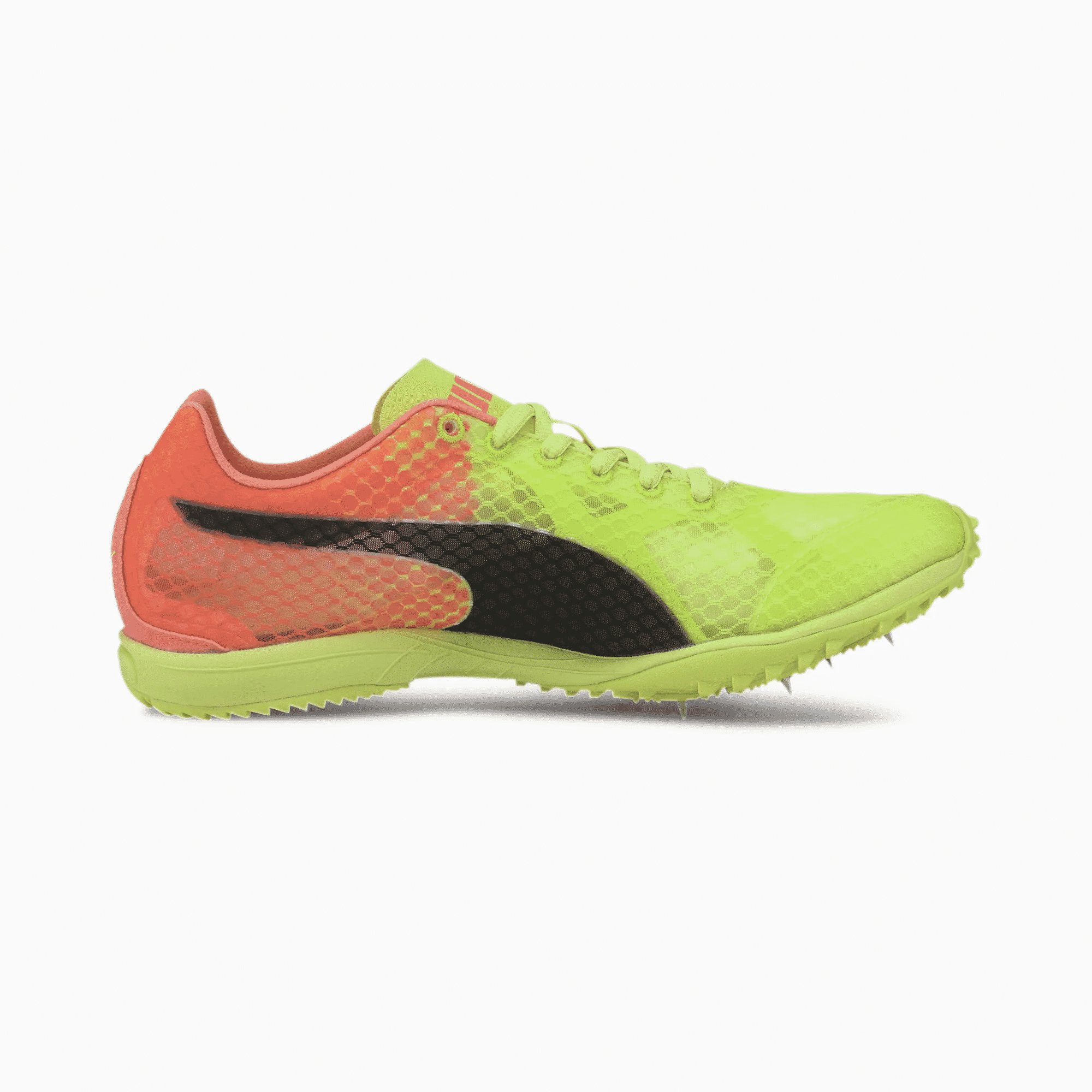 puma evospeed haraka 5