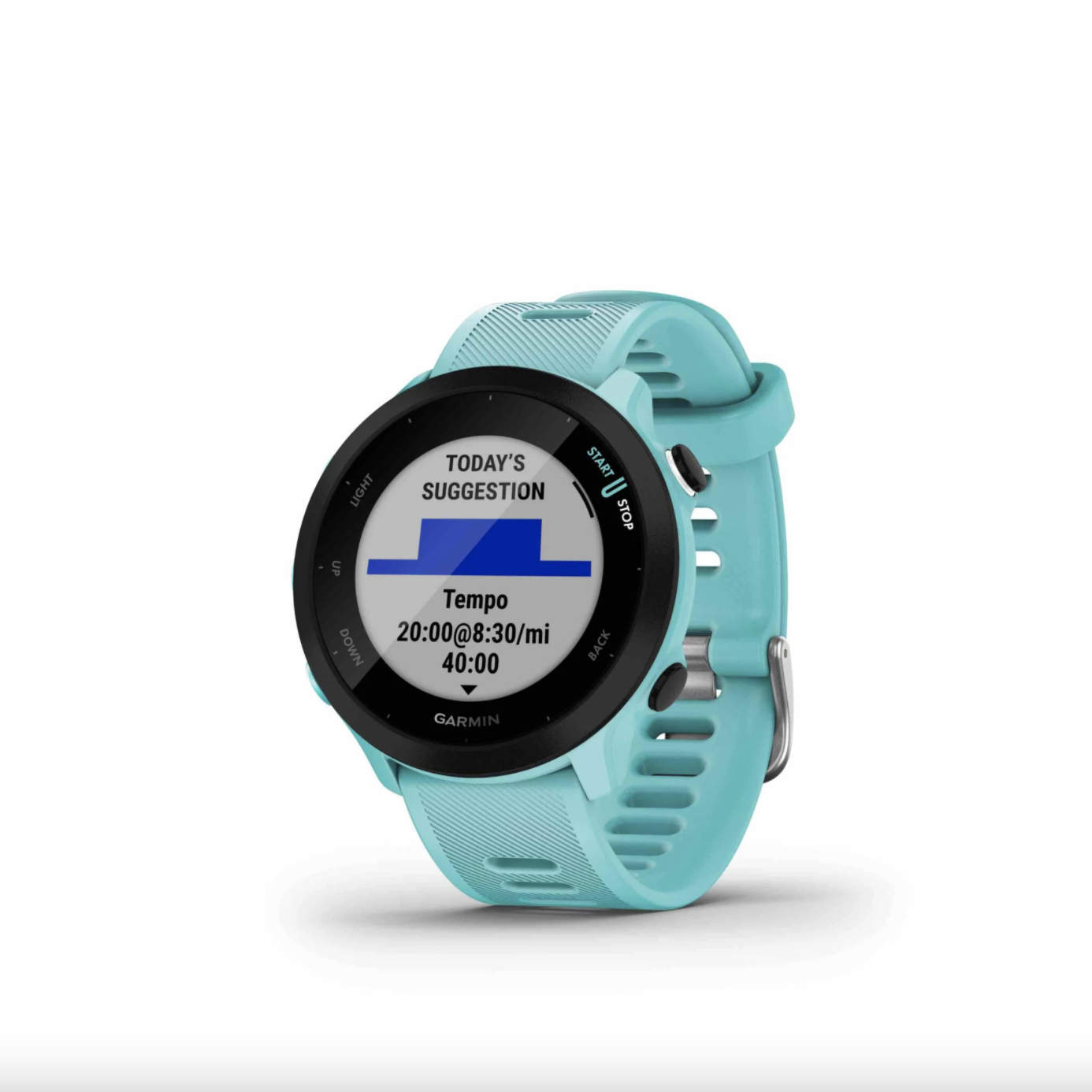 garmin forerunner 55 2