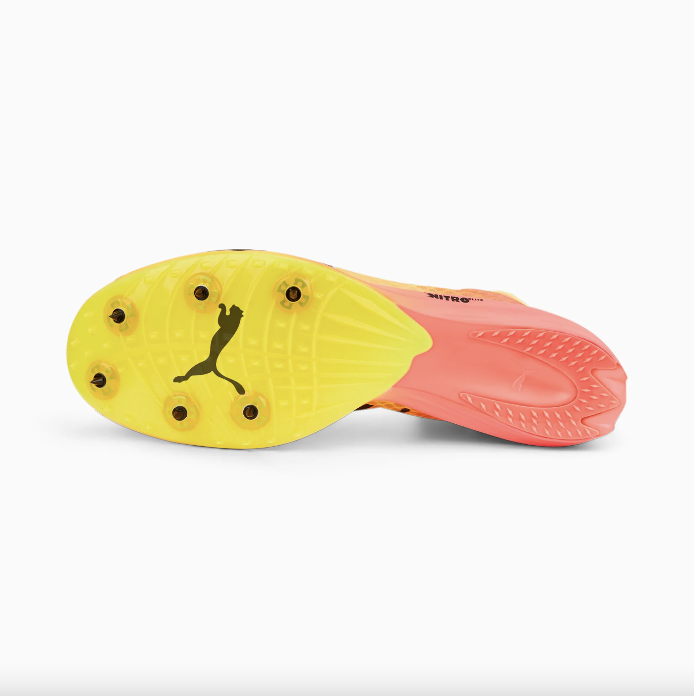 puma evospeed distance nitro elite pointes running plaque carbone 3