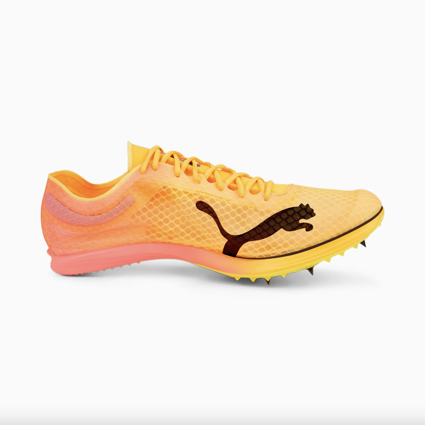 puma evospeed distance nitro elite pointes running plaque carbone 4