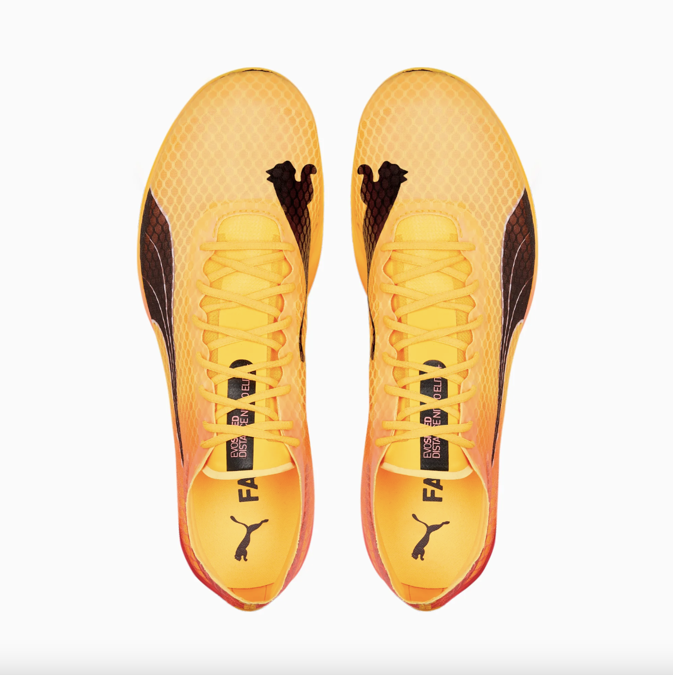 puma evospeed distance nitro elite pointes running plaque carbone 5