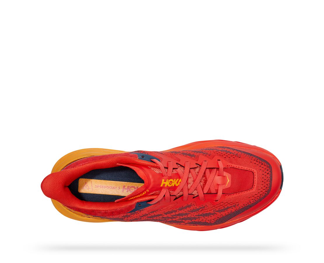 hoka speedgoat 5 8