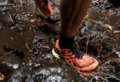 Image de l'article ASICS GEL-TRABUCO 10 : une chaussure de trail fiable et polyvalente