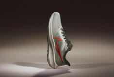 Image de l'article Nike Air Zoom Pegasus 39 – TEST ET AVIS