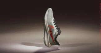 Image de l'article Nike Air Zoom Pegasus 39 – TEST ET AVIS