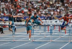 Image de l'article Les différentes tailles de haies en athlétisme