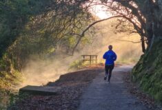 Image de l'article Courir en été ou pendant la canicule : conseils et astuces