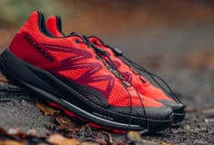Image de l'article Salomon Pulsar Trail : Test et avis