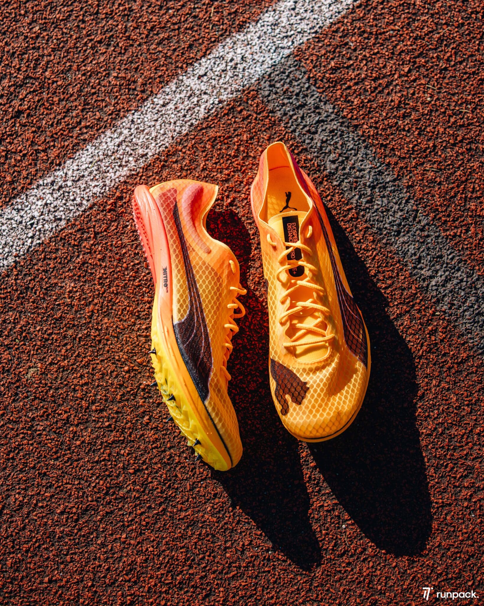 PUMA evoSPEED Distance NITRO Elite