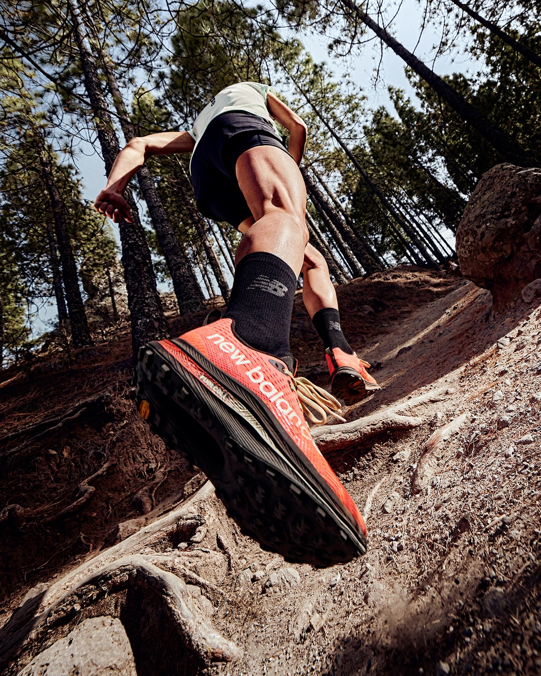 fuelcell supercomp trail new balance