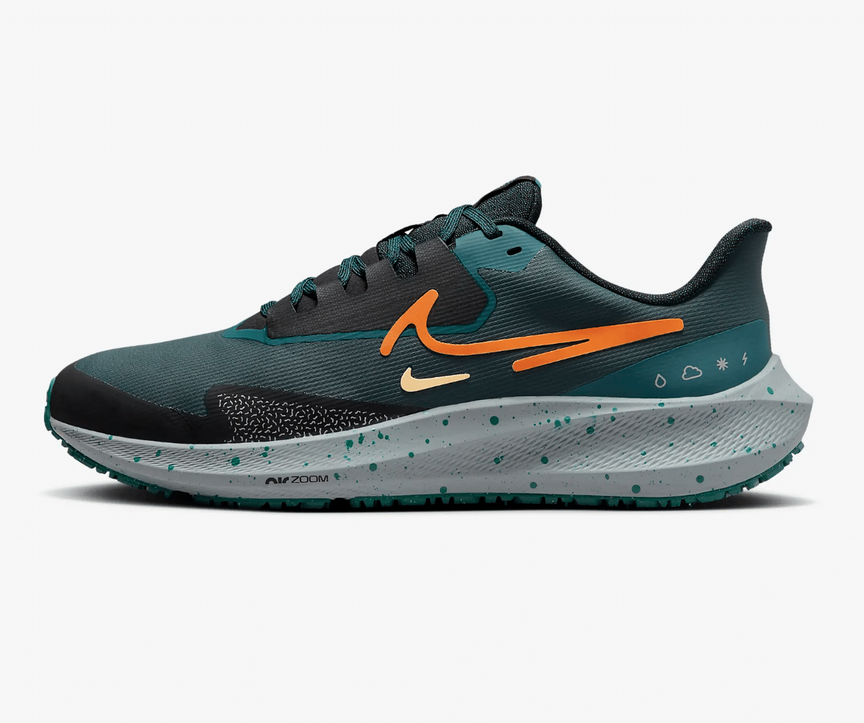 Promotion Nike Pegasus 39 Shield