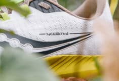 Image de l'article Saucony Peregrine 13 – Notre Test et Avis