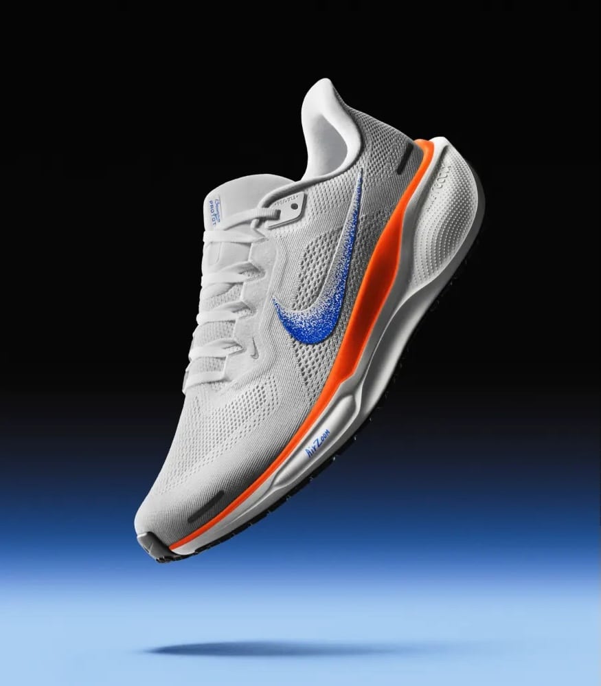 nike pegasus 41