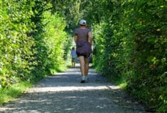 Image de l'article Courir malgré l’allergie pollen