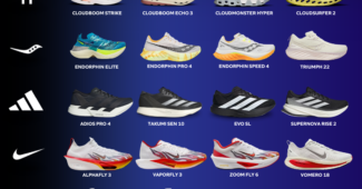 Image de l'article Quelles chaussures de running choisir ?