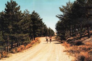 Running gravel salomon