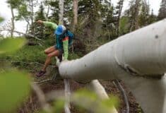 Image de l'article Patagonia trail : une collection été 2025 pour courir avec sens et exigence