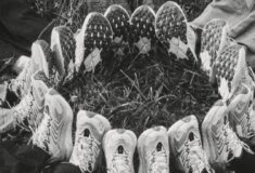 Image de l'article Les chaussures de running passent en mode lifestyle