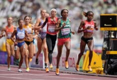 Image de l'article Le guide complet des pointes Nike pour la piste, le cross et les concours