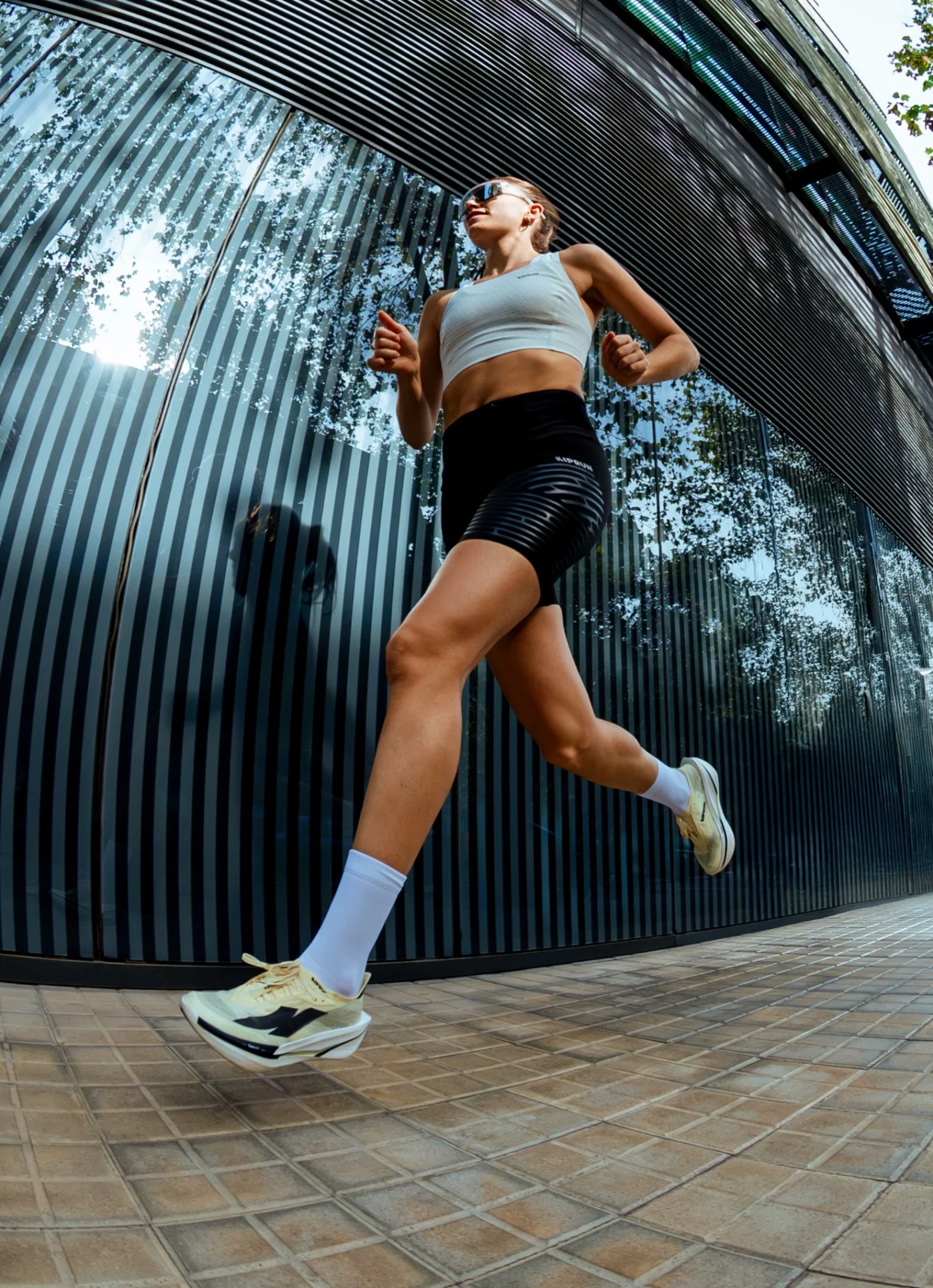 kiprun gamme chaussure