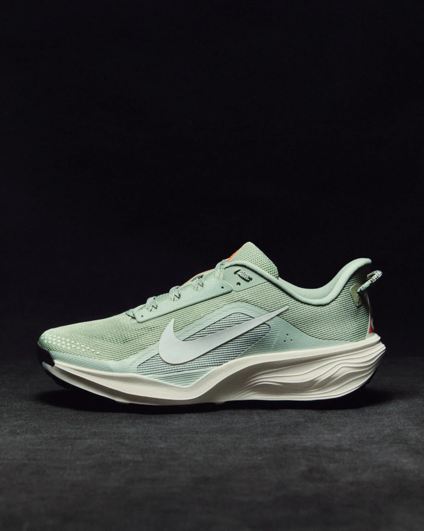 acg pegasus trail nike