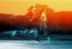 Image de l'article Gravelanza : la première course 100 % gravel running arrive à Paris