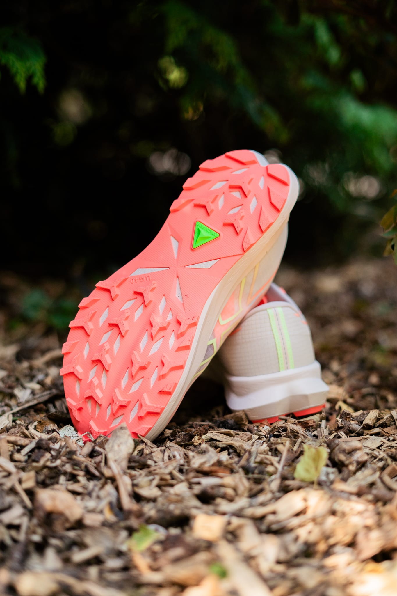 ASICS FUJI LITE 7 chaussure trail