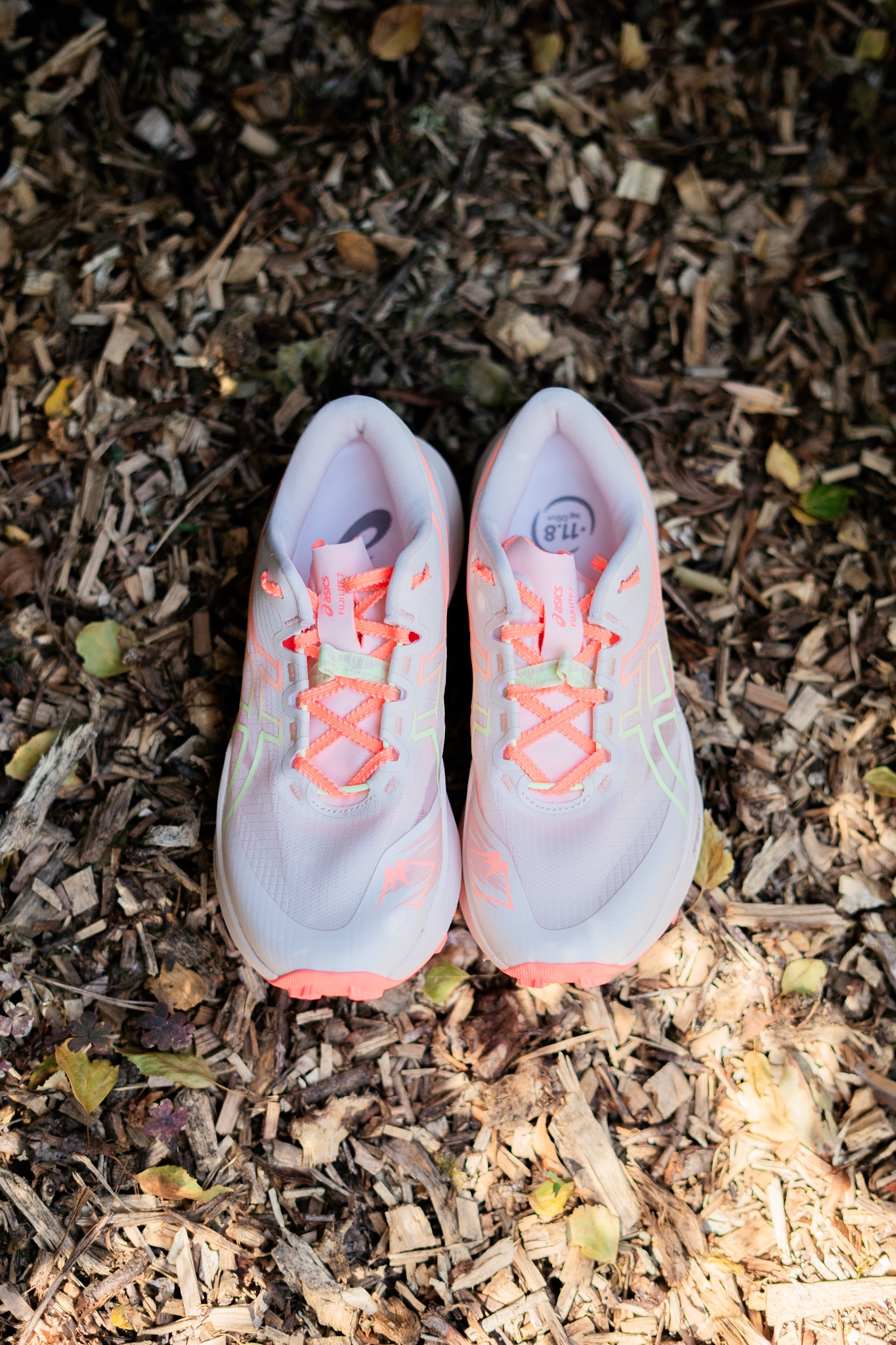 ASICS FUJI LITE 7 chaussure trail