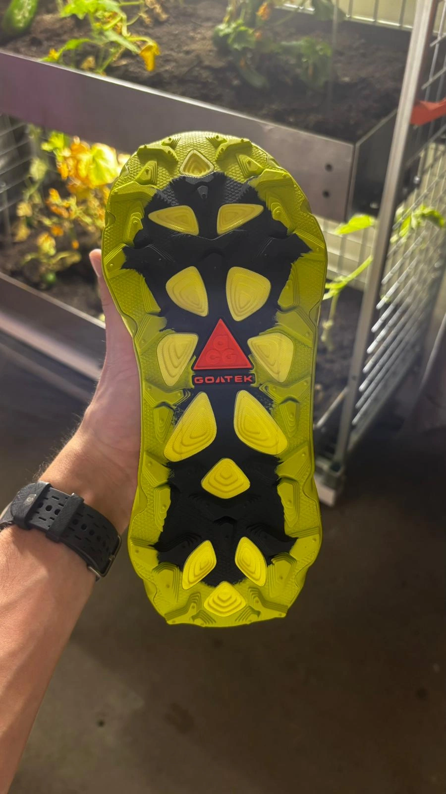 acg picklejus ultra trail
