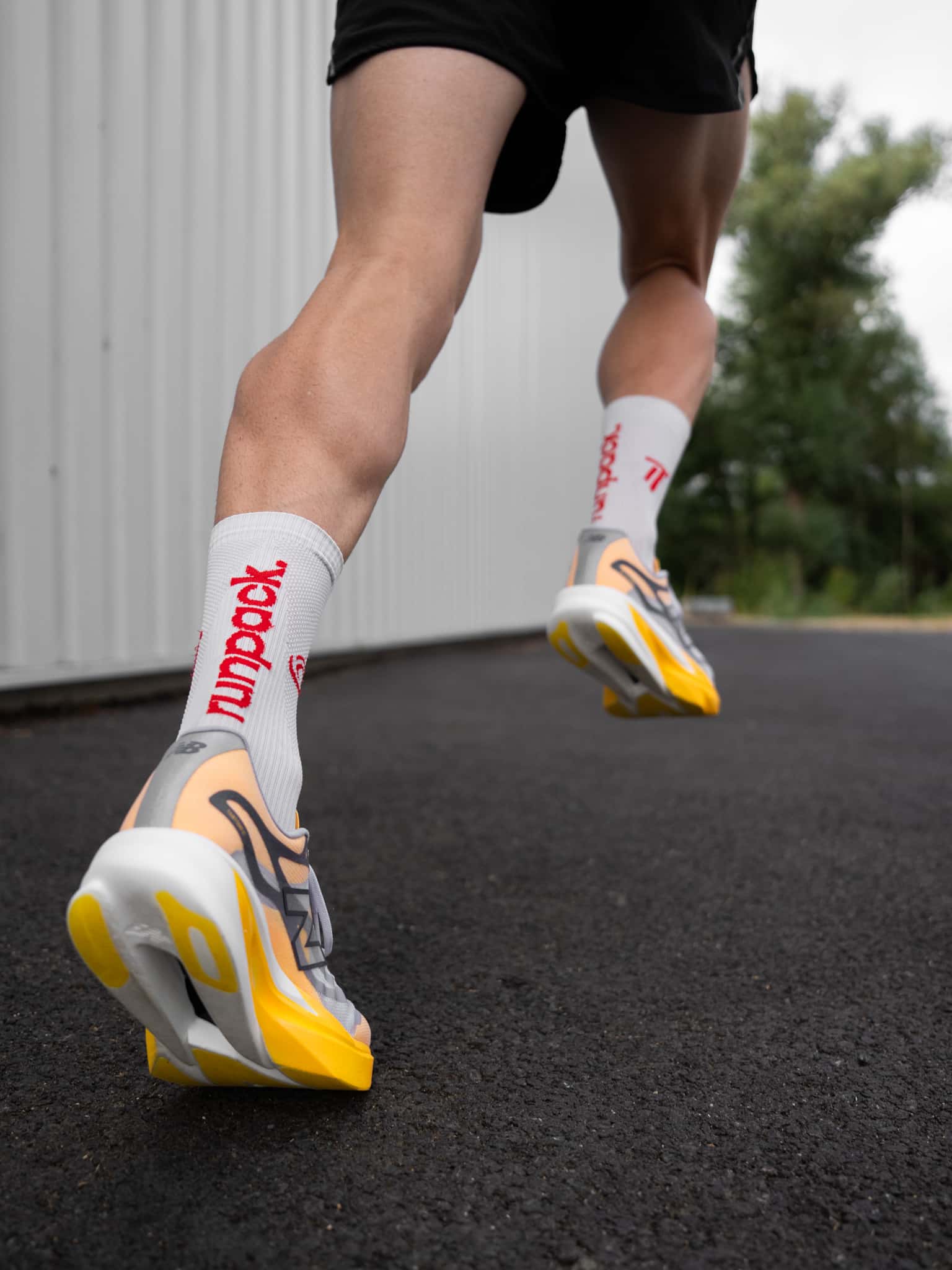 NB SC ELITE V6 15